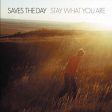 Saves The Day - Stay What You Are (2LP)(Brown) For Discount