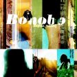 Bonobo - Animal Magic (2LP) Fashion