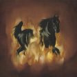 Besnard Lakes - Are The Dark Horse on Sale