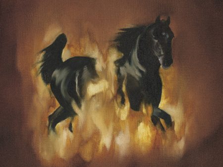 Besnard Lakes - Are The Dark Horse on Sale