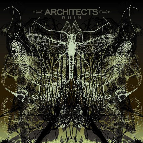 Architects - Ruin Hot on Sale