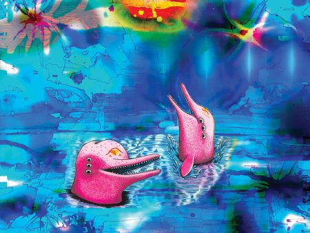 Anteloper - Pink Dolphins For Sale