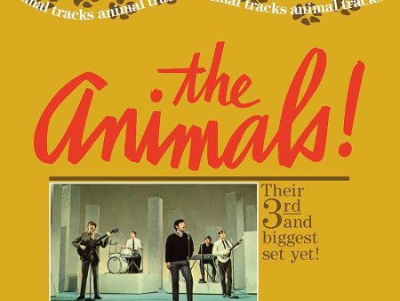 Animals - Animal Tracks Online